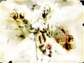 Misery��Ʒ
