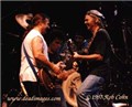 NeilYoung