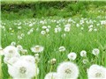 �ѹ�Ӣ