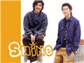 Shine