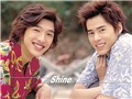 Shine