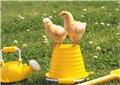 Ȥ��С��Ѽ