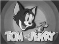 TomAndJerry