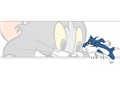 TomAndJerry