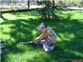 ܽ�ظ��
