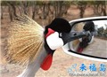 �ɰ�����