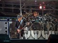 Glay