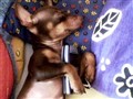 �����ֻ����ͼƬ