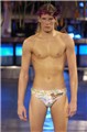 ������ģSHOW