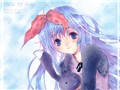 ����è������Loli~