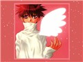D.N.Angel