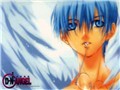 D.N.Angel