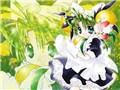 Di Gi Charat