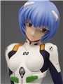 eva�ְ�