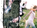 F.I.R.