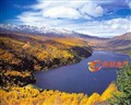 ����С��կ����ľ���