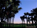 [2006-10-11][ԭ��]������...