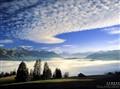 ~~~~~��Ȼ���ջ�~~~~..
