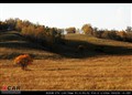 2006��9�µİ���