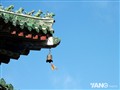 �Ƿ����ģ���֣�ݾ�û����...