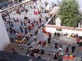[ԭ��]���������
