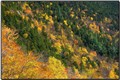 ��ɫ�е�White Mountains, ..