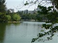 տ�����