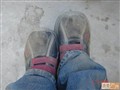 ������������֮�ϣ�������...