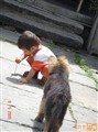 ������������֮�ϣ�������...