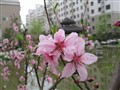 �һ���俪����
