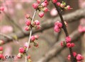 ��������3��24��ѧ���ڼ���..