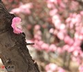 ��������3��24��ѧ���ڼ���..