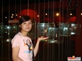 ���ɰ�С��MM������