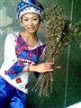 �������ӣ���PSϵ����