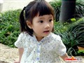 ������조��ɫ������