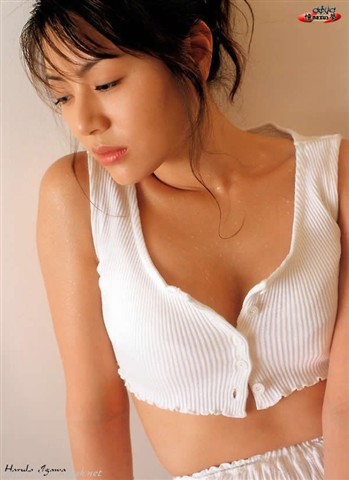 ���鱬����ȼ�������