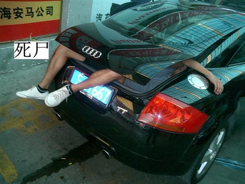 ���Ƽ�С˧��һ������