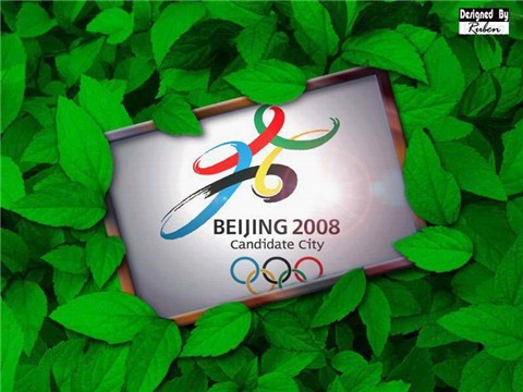 2008�������˱�ֽ��