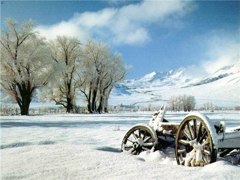 摄影作品《冰雪》(图片50)