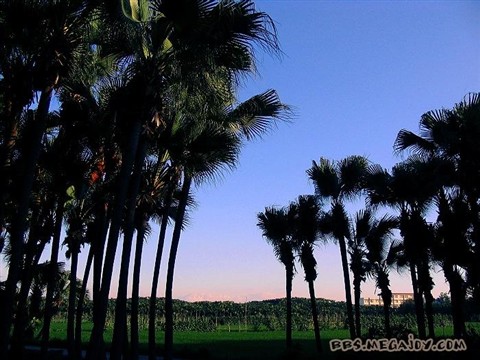 [2006-10-11][ԭ��]��