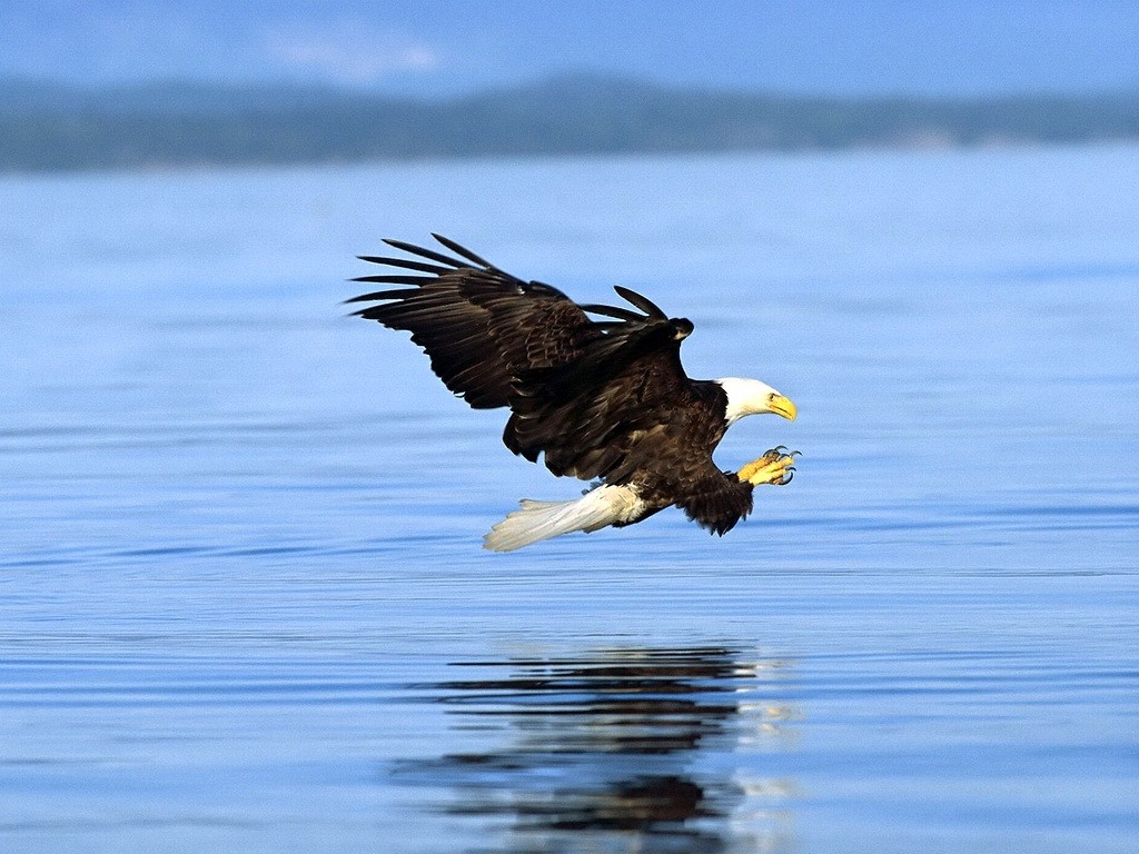 ��