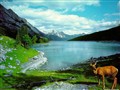 湖光山色