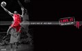NBA��ֽһ��(ͼƬ2)