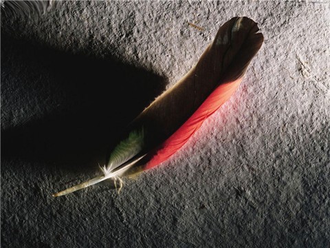 唯美印象(图片10)